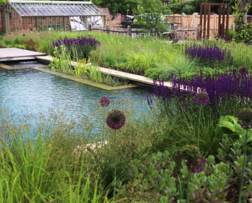 A natural pool with soft landscaping