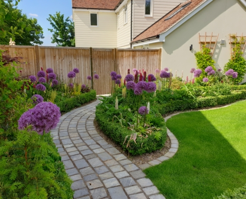 soft-landscaping-alliums