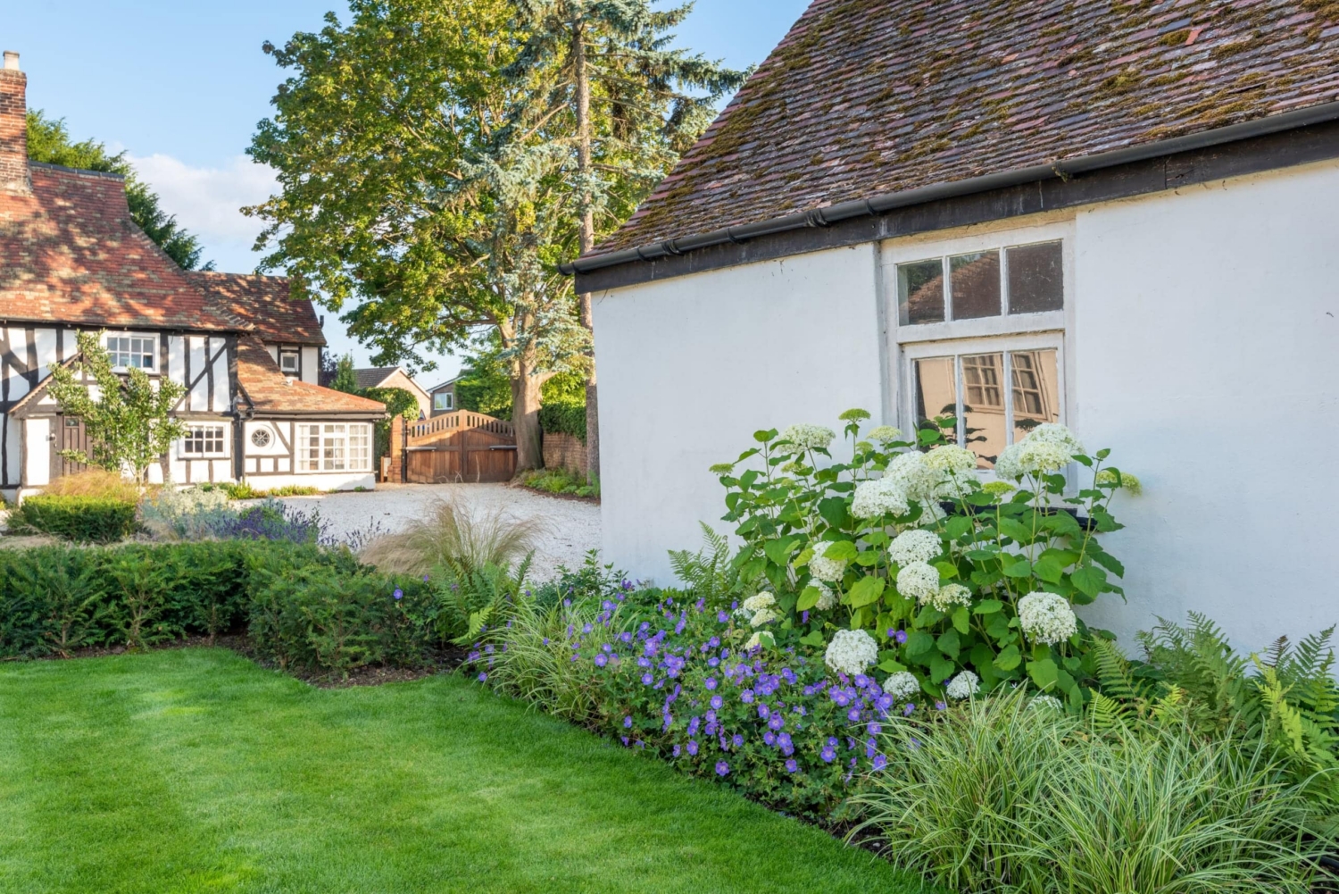 Mixed border planting