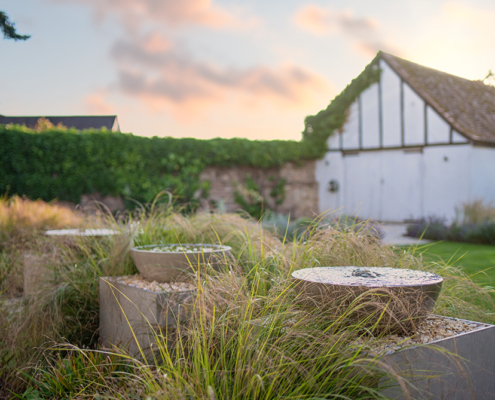 Grasses and Water