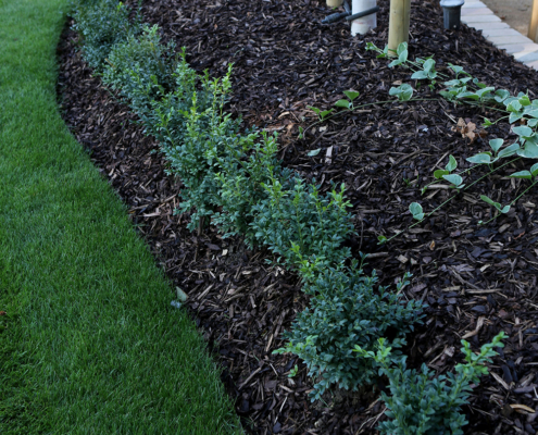 Curved flower border