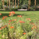 TKE-Soft-Landscaping-Country-Garden