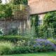 Soft landscaping in a walled country garden