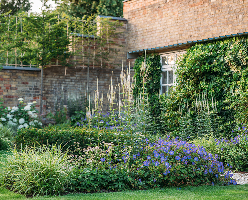 Soft landscaping in a walled country garden